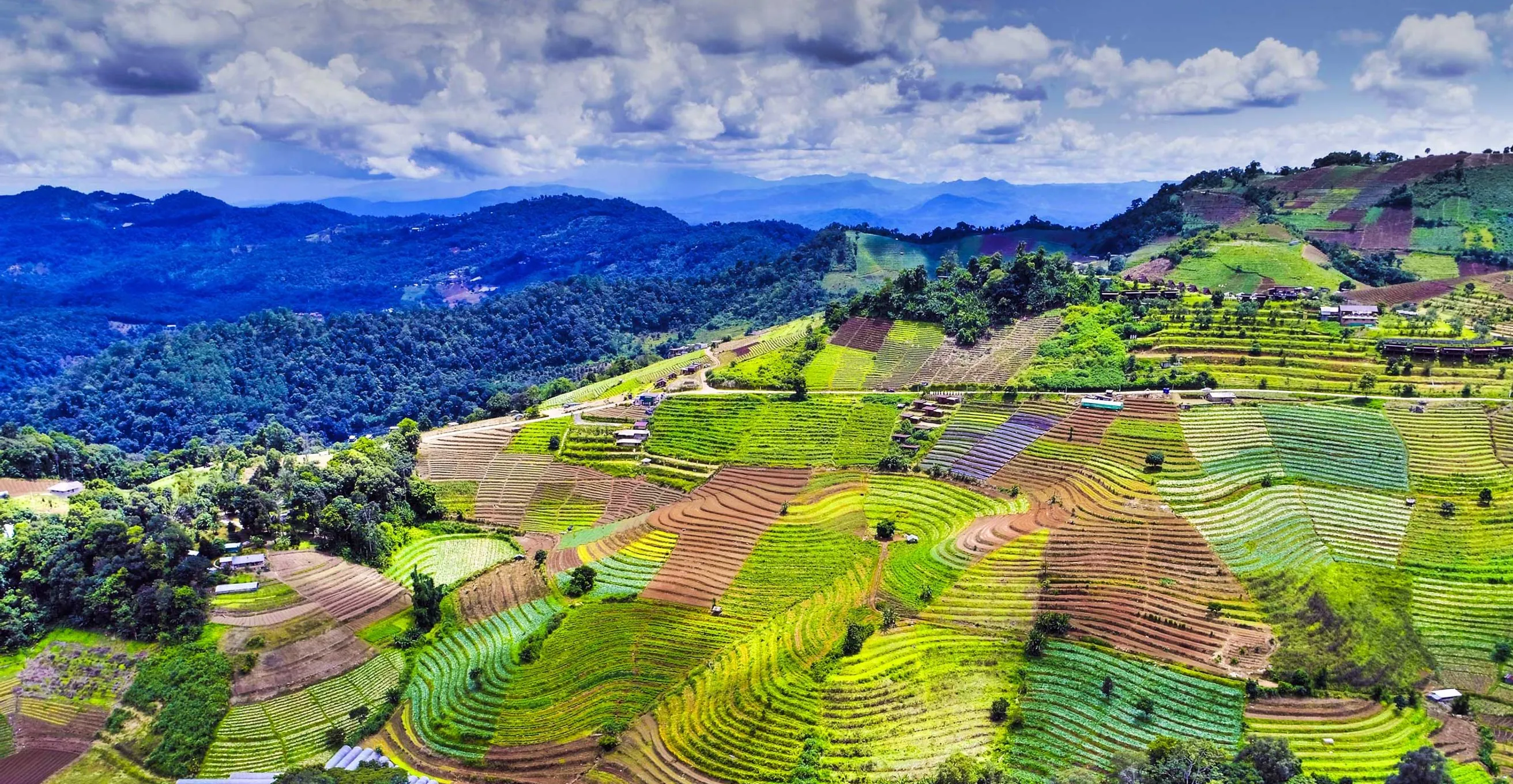 Drone view of terraced farmland in South East Asia